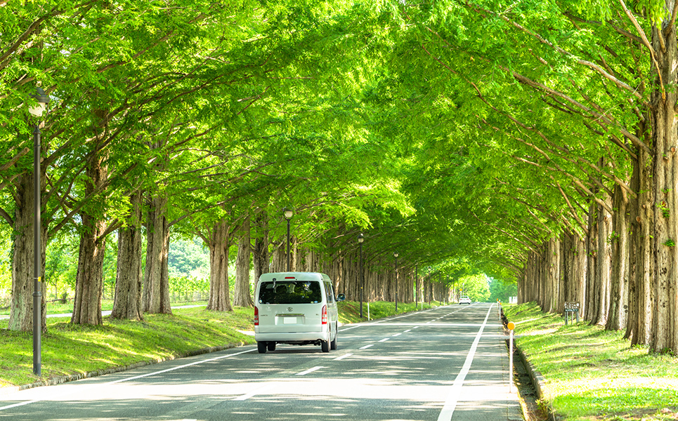 地球にやさしい、クルマの再生。